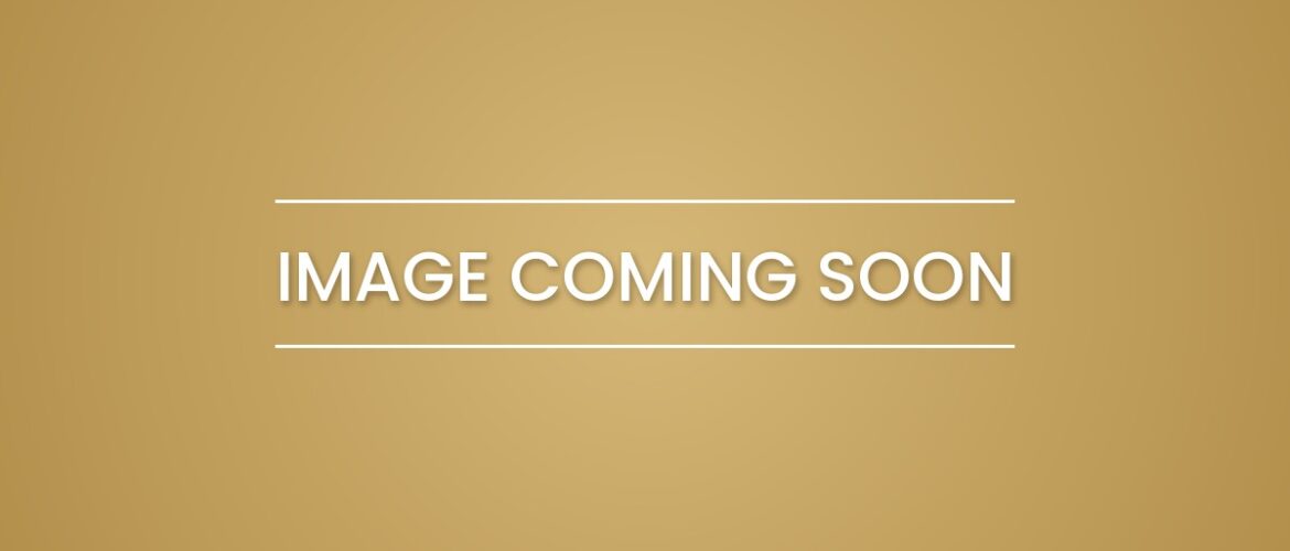 Image coming soon